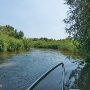 Varen Biesbosch