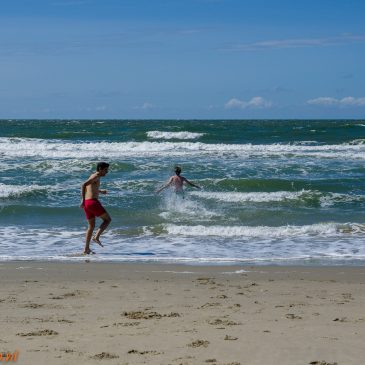 Texel 2017